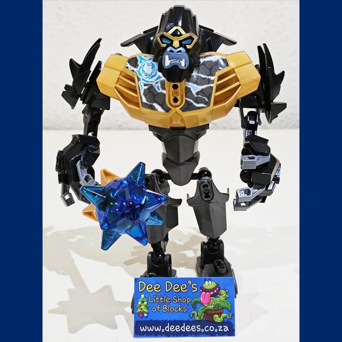 70202 - CHI Gorzan